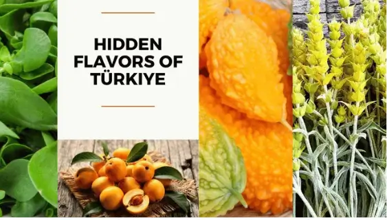 Turkey’s Hidden Flavors